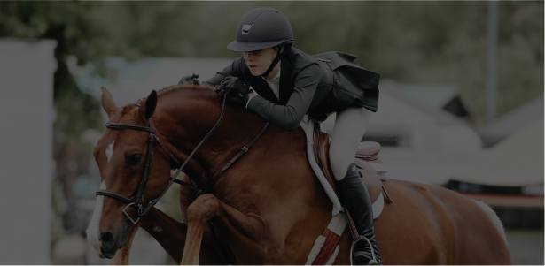 Horse and Rider Jumping over Barricades