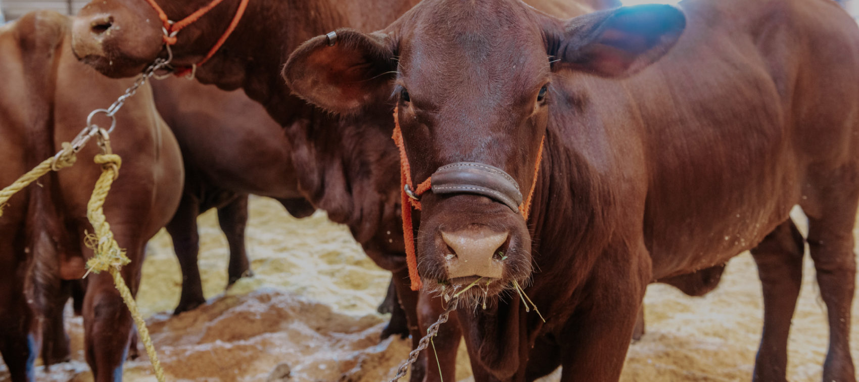 Agriculture