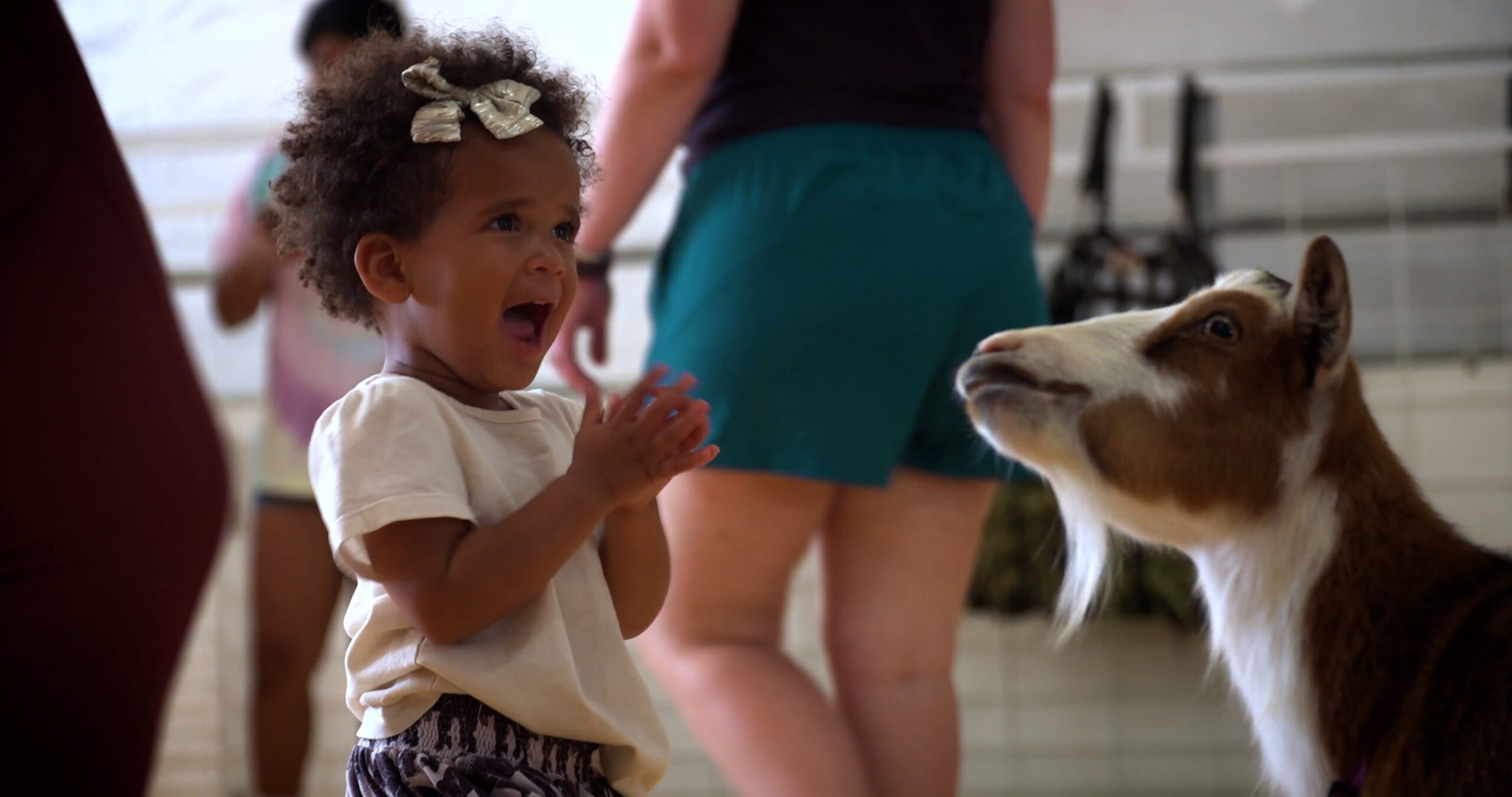 Hands-on Petting Zoo