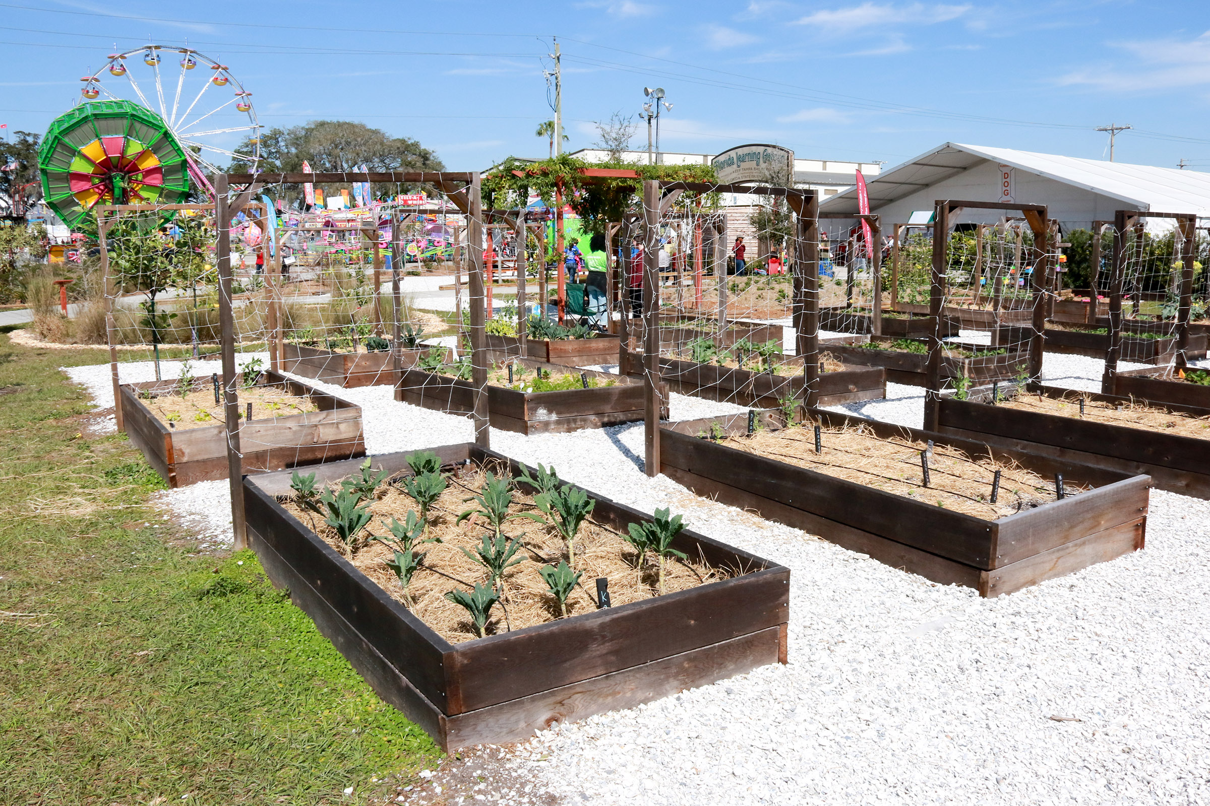 Learning Garden