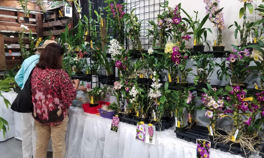 Plant Sale