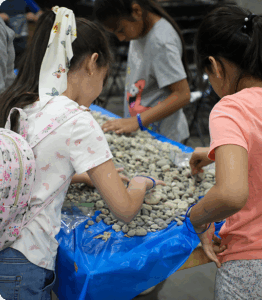 Agriculture School Trips at the Fair