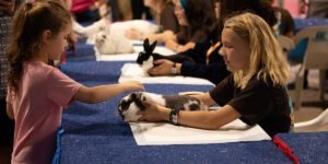 Agriculture at the Fair