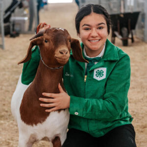 Boer Goat Show