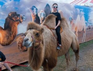 Camel Rides