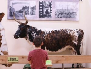Cattle Ranching Museum
