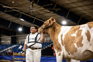Dairy Show