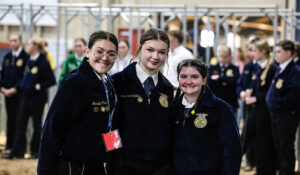 Florida Ethics Certification Program