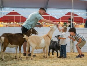 Great American Petting Zoo