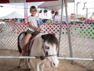 Pony Rides