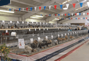 Rabbit and Poultry Barn