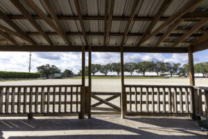 Florida State Fairgrounds - Equestrian Rings