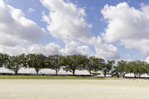 Florida State Fairgrounds - Equestrian Rings