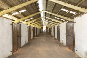 Florida State Fairgrounds - Barns