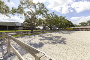 Florida State Fairgrounds - Equestrian Rings