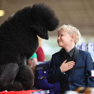 Youth Dog Show