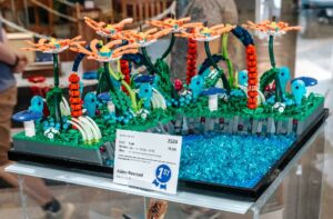 Youth Creative Competitions