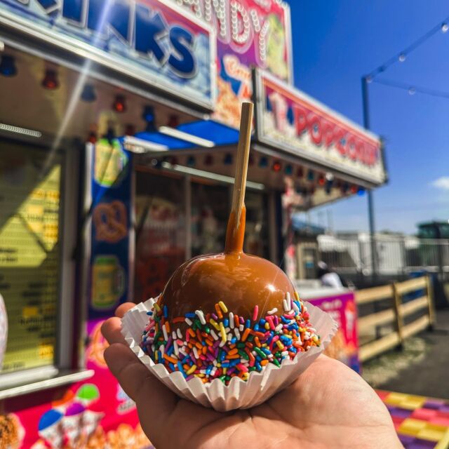 Apples covered in caramel on a stick > regular apples🍎🍡 #NationalSomethingOnAStickDay
